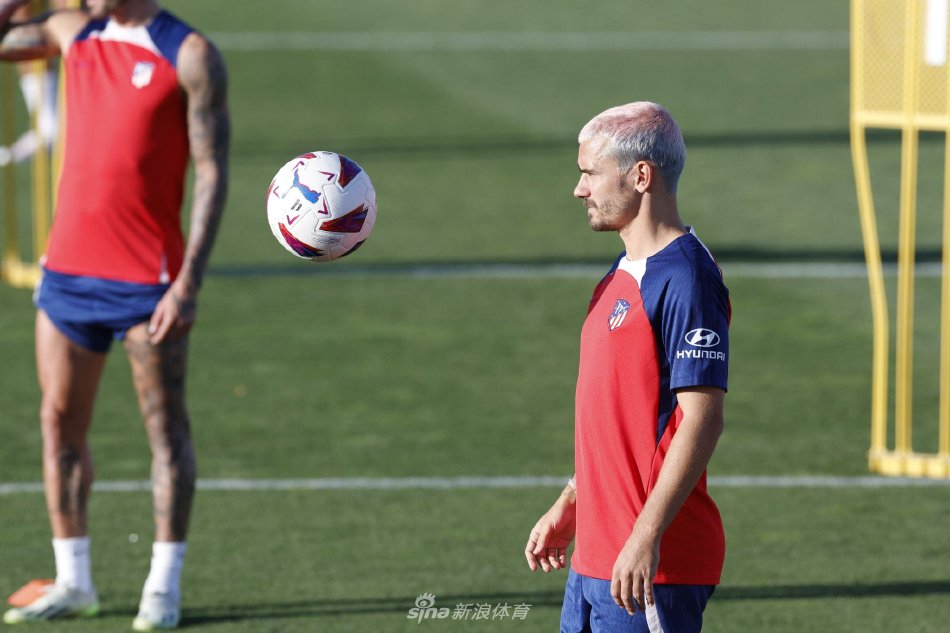 典型写照 典型写照